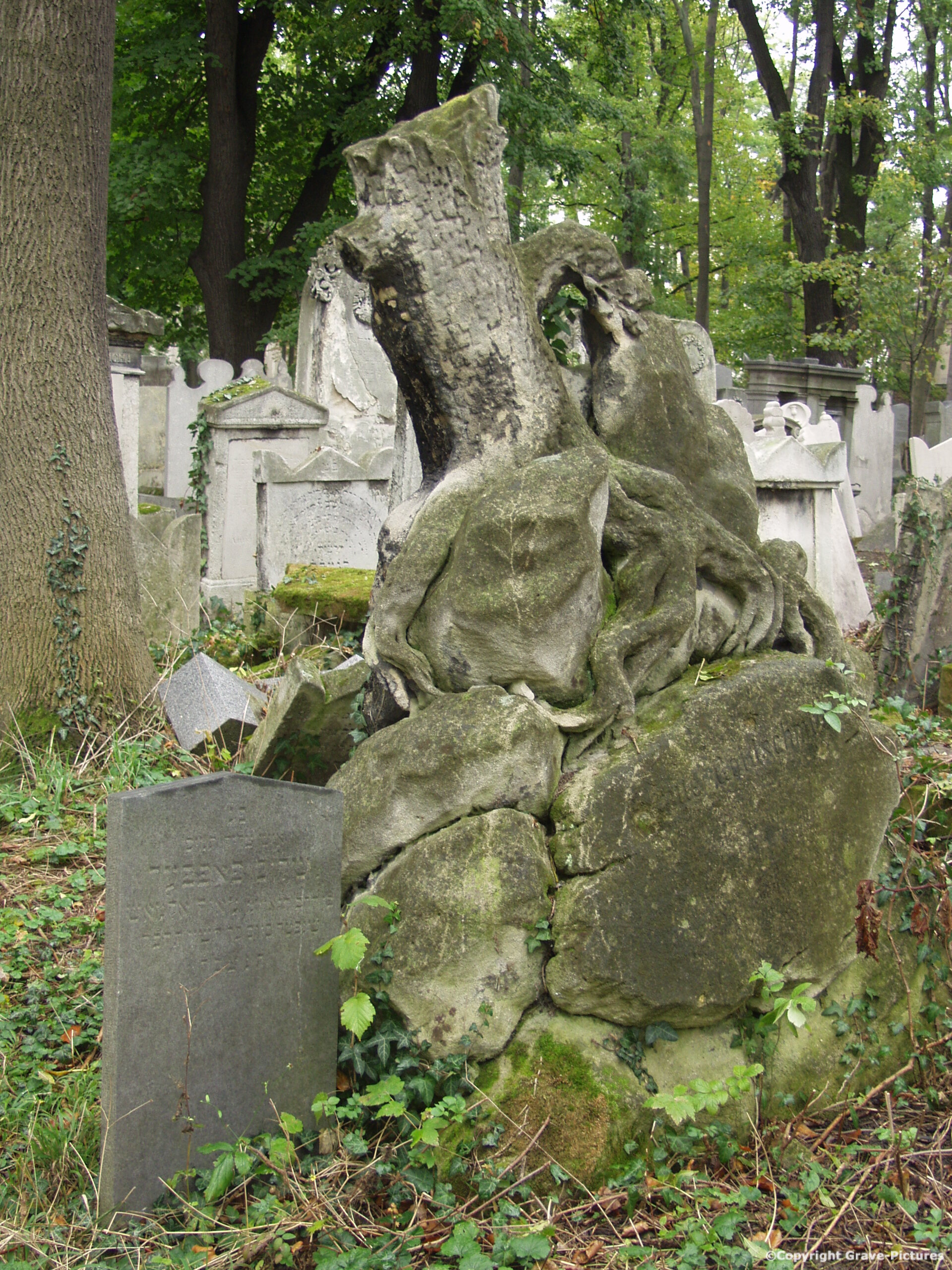 Währinger Friedhof 63