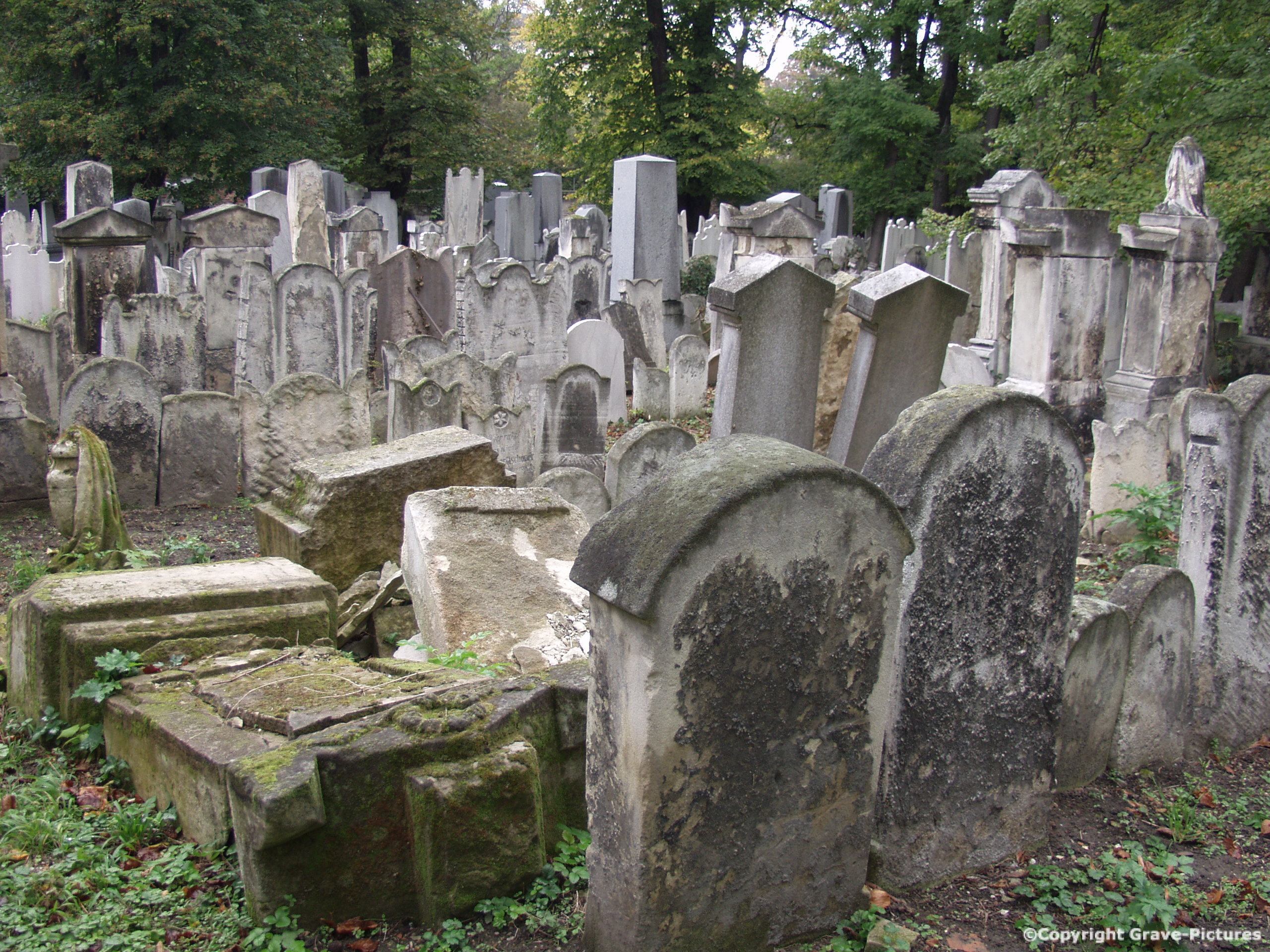 Währinger Friedhof 9