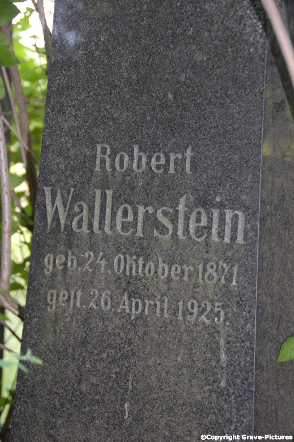 Wallerstein Robert