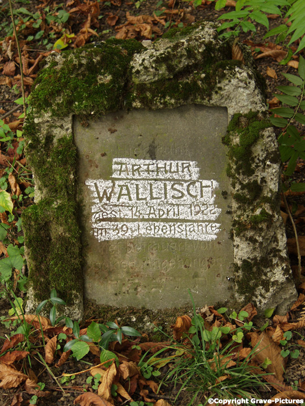 Wallisch Arthur