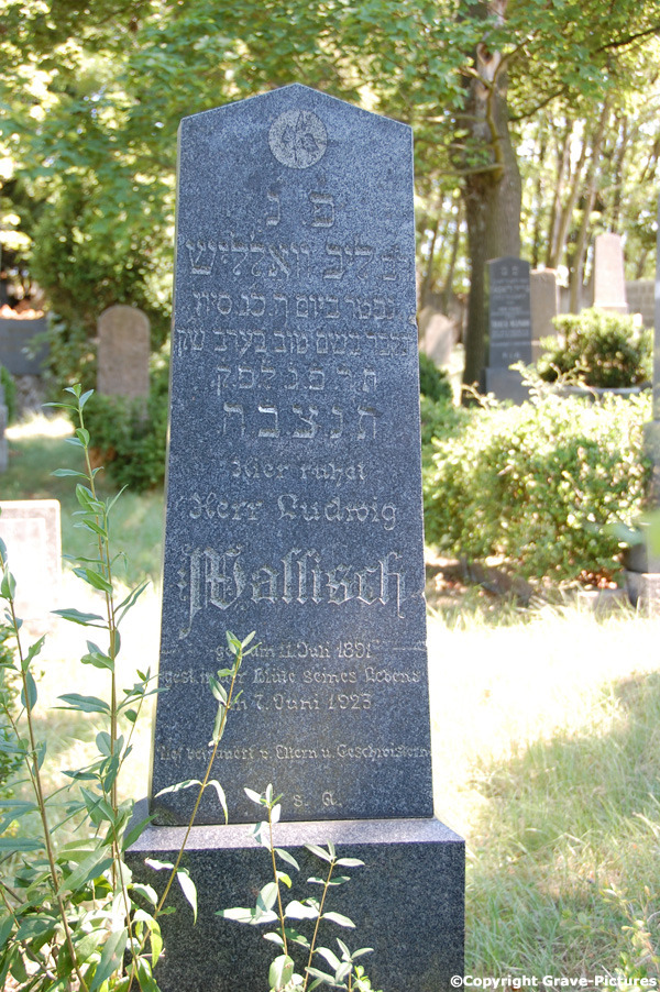Wallisch Ludwig
