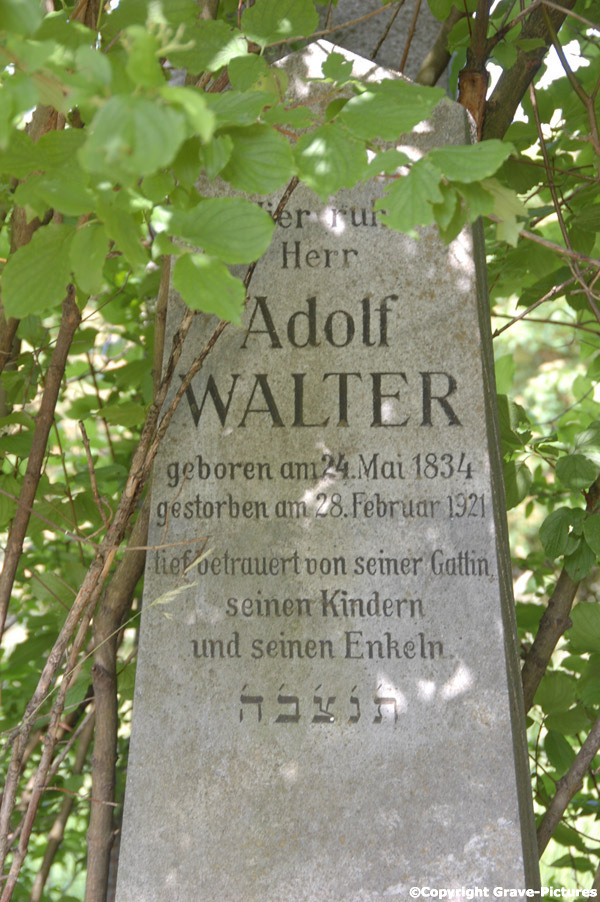 Walter Adolf
