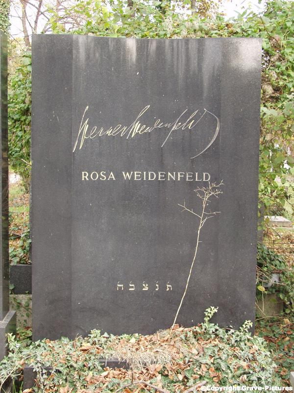 Weidenfeld Rosa