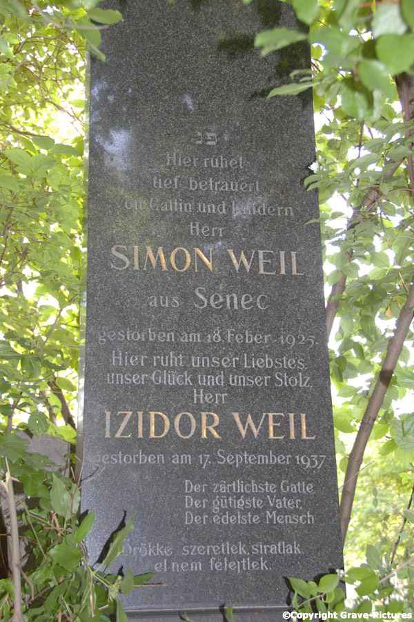 Weil Izidor