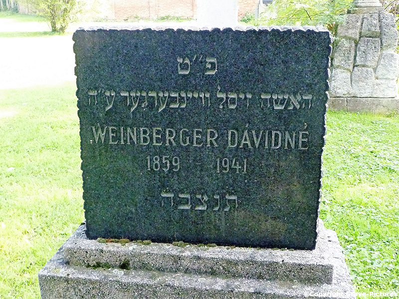 Weinberger Davidne