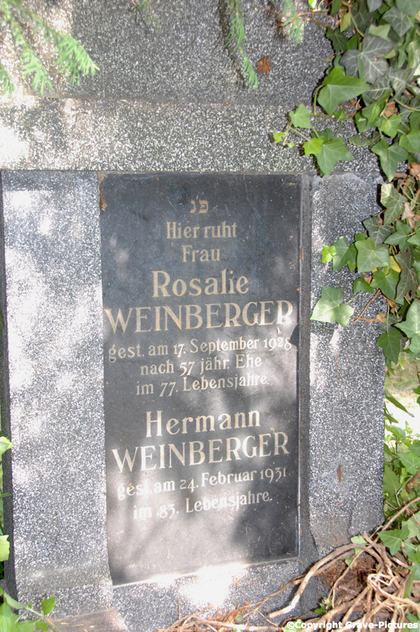 Weinberger Hermann