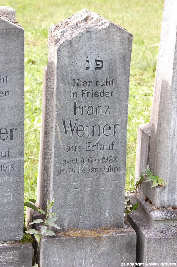 Weiner Franz