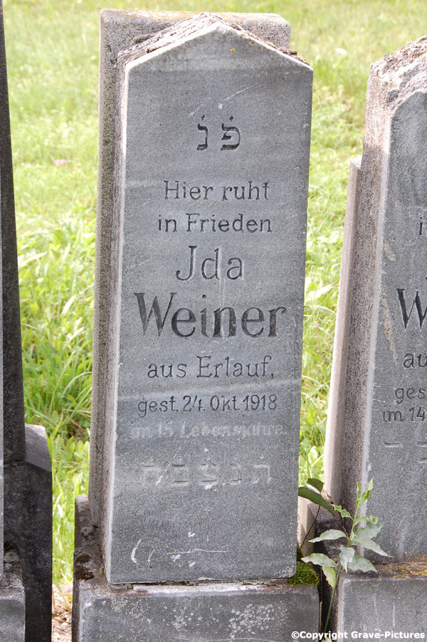 Weiner Ida