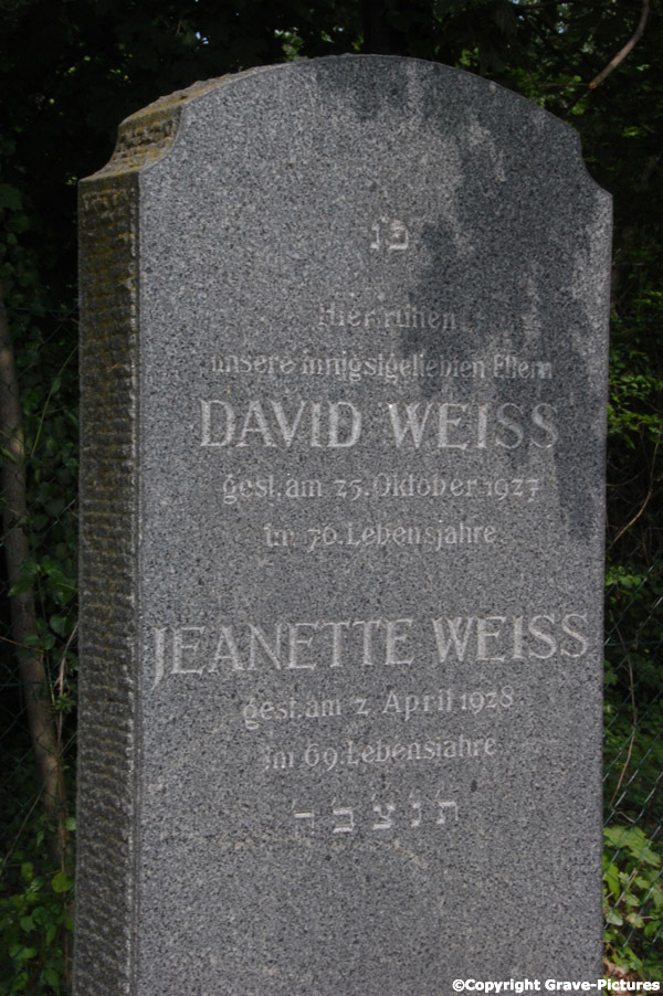 Weiss David
