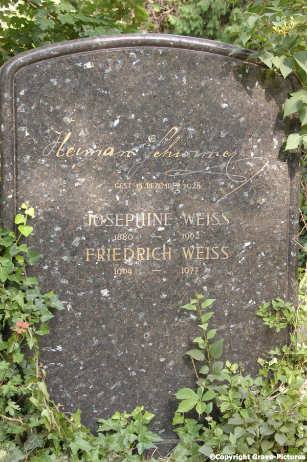 Weiss Friedrich