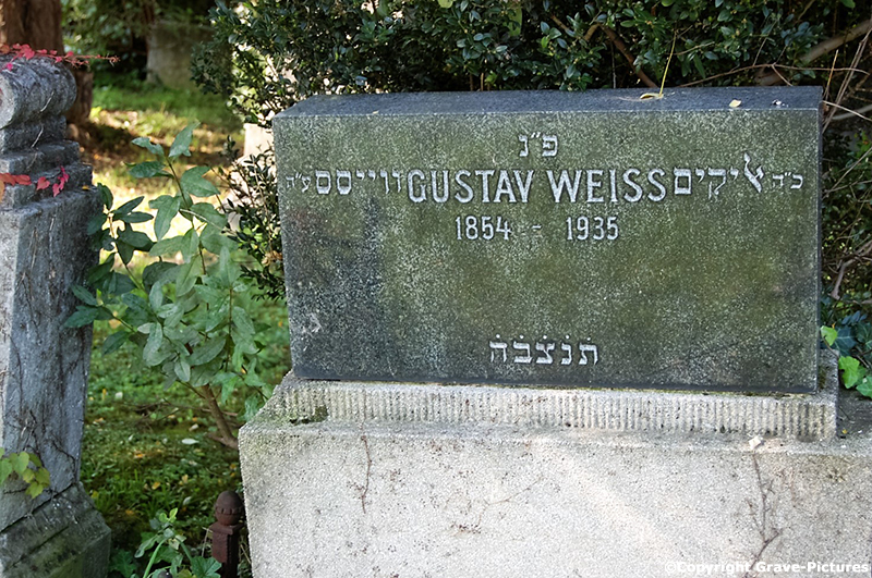 Weiss Gustav
