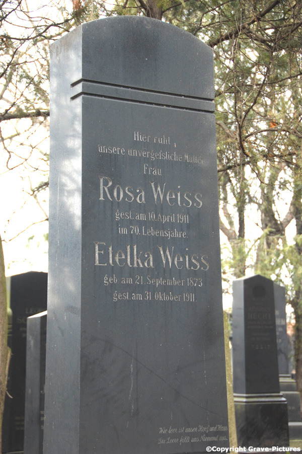 Weiss Rosa
