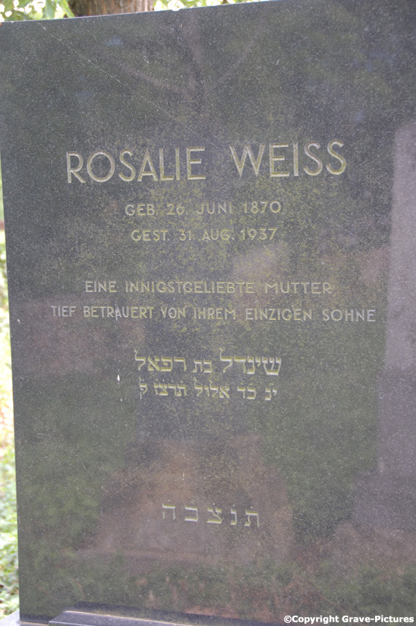 Weiss Rosalie