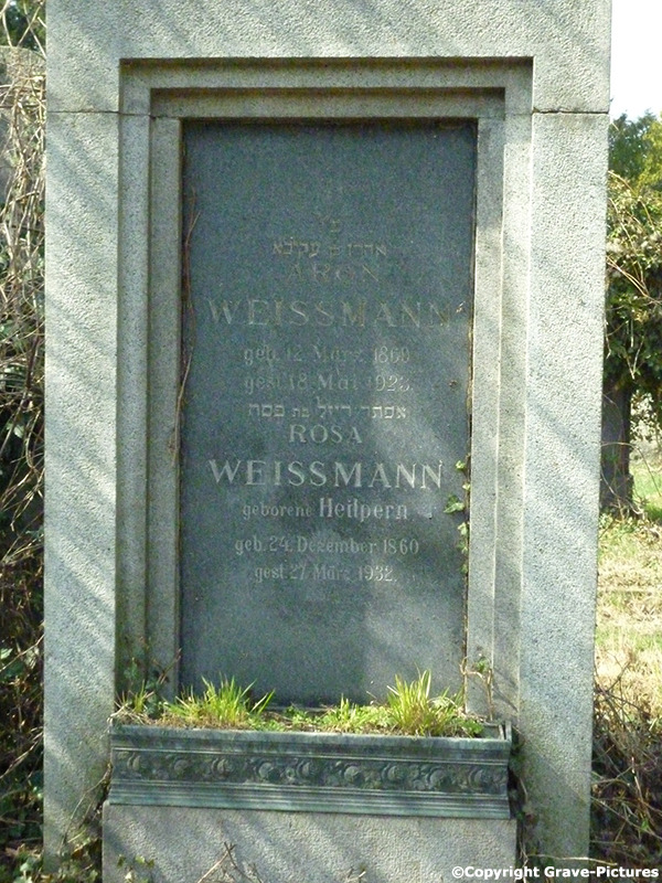 Weissmann Rosa