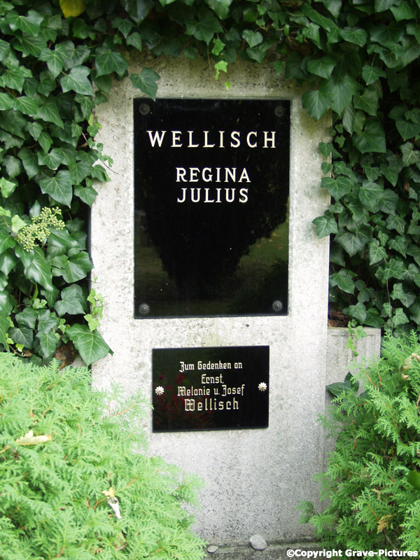 Wellisch Josef