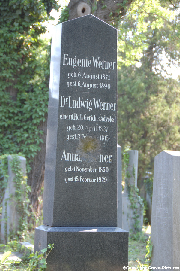 Werner Eugenie