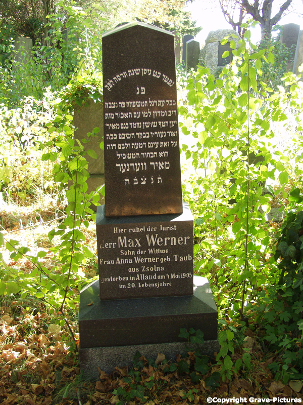 Werner Max