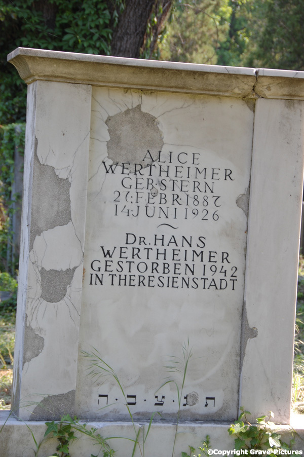 Wertheimer Alice