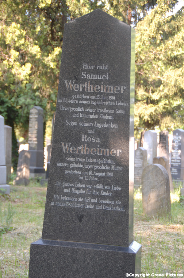 Wertheimer Rosa