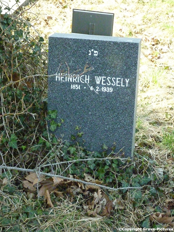 Wessely Heinrich
