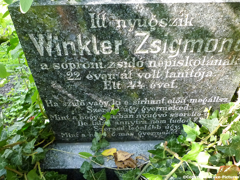 Winkler Zsigmond