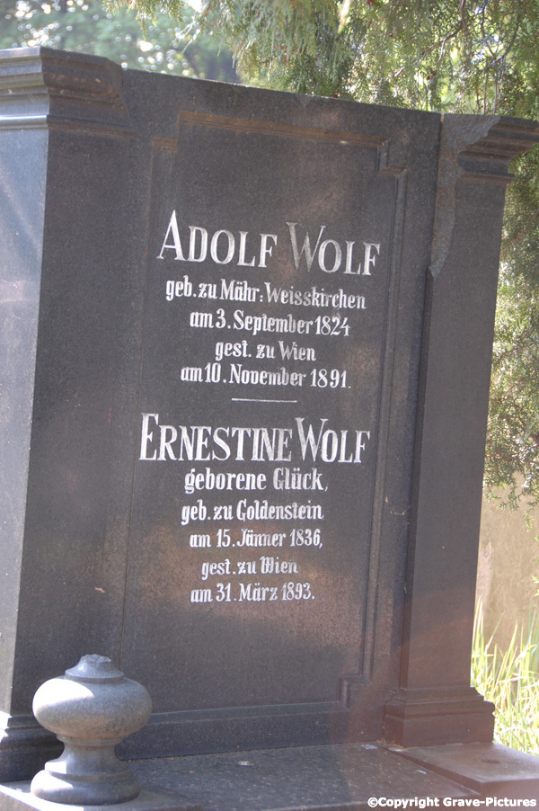 Wolf Adolf