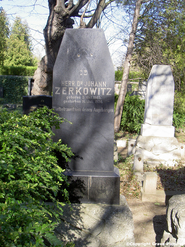 Zerkowitz Johann Dr.