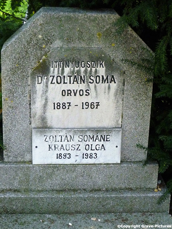 Zoltan Soma Dr.