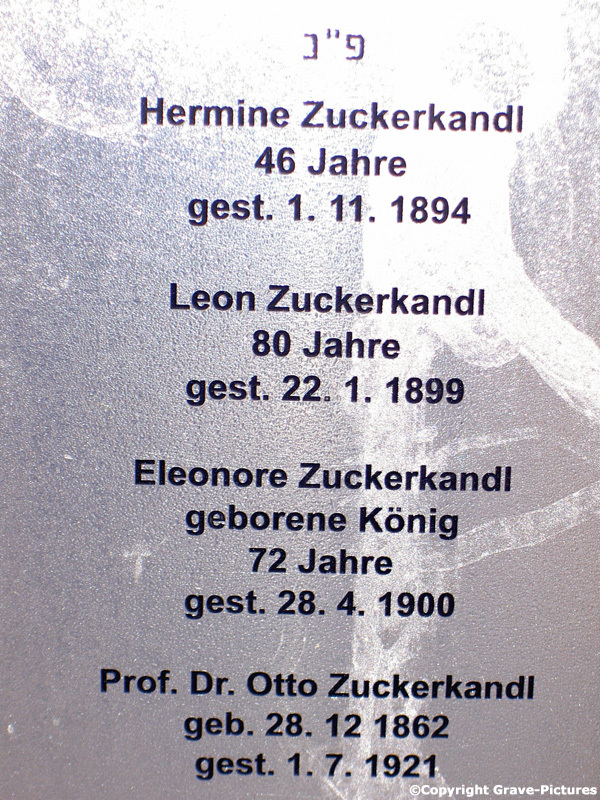 Zuckerkandl Otto Dr.