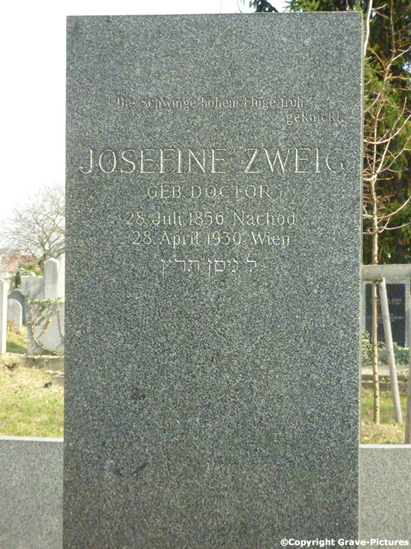 Zweig Josefine