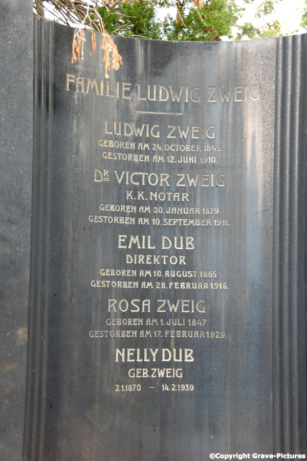 Zweig Ludwig